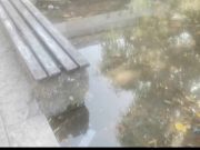 DOBILI SMO MALI BAZEN U CENTRU GRADA