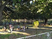 UČENICI SREĐUJU PARK ŠKOLE