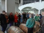 STUDENTI TOPLIČKE AKADEMIJE U POSETI VINARIJI TOPLIČKI VINOGRADI