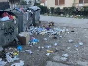 SMEĆE IZ PREPUNIH KONTEJNERA SE RAZNOSI PO ULICI I DVORIŠTIMA