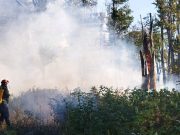 ZA JEDAN DAN 135 POŽARA NA OTVORENOM