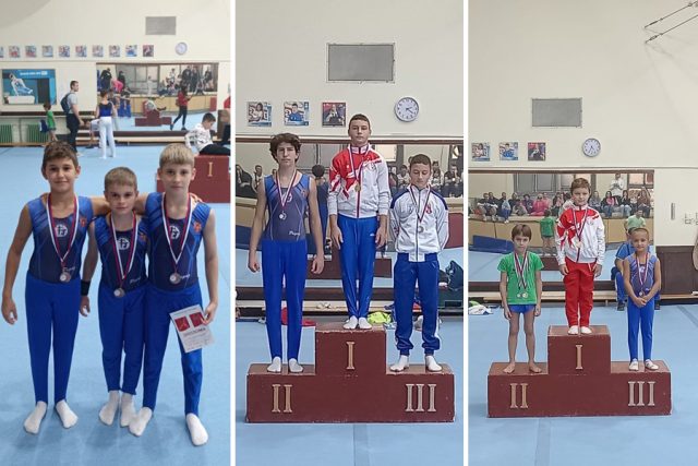 Gimnasticari Toplicanina
