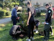 POSAĐENA NOVA STABLA U DVORIŠTU ŠKOLE “9. OKTOBAR”