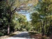 Buđenje ovog proleća
