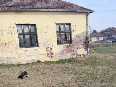 Prokupačke škole čekaju obećane rekonstrukcije: Ko će pitati ministarstvo gde je novac?