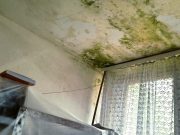 SSP Žitorađa: Narodna biblioteka Žitorađa, odeljenje u školi u Pejkovcu… izvor zaraze!