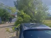 Palo stablo na auto u Voljčincu