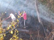 Herojska borba u Donjoj Rečici: Meštani sami odbranili selo od požara