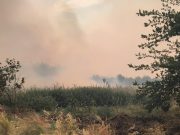 SSP Prokuplje: Gori Toplica, a institucije ćute – prekrdašilo je!