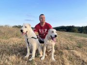 Danas je Međunarodni dan pasa – vernih prijatelja čoveka