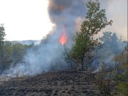 Požar u Širokim Njivama pod kontrolom – meštani dežuraju na terenu