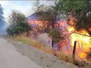 Opština Blace poziva poljoprivrednike da prijave štetu od požara