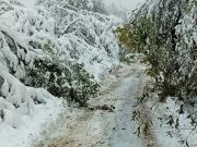 “Ko želi – nađe način, ko ne želi – izgovor”: svedočenje o nemoći sistema u danima snežne blokade