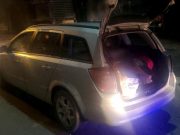 Akcija policije u centru Prokuplja: Zaplenjeno više od 8,7 kg marihuane