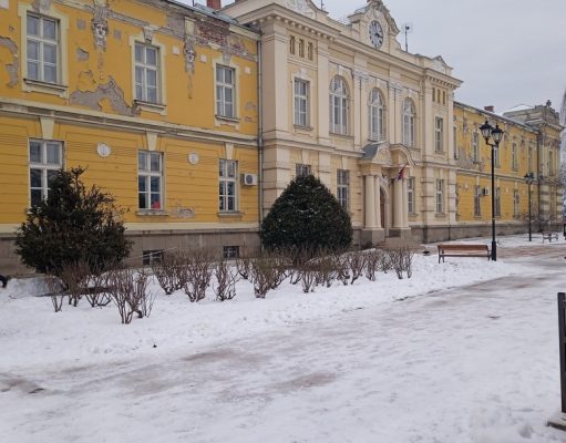 Ne pada sneg da pokrije grad, već da se vidi koliko smo duboko zaglibili