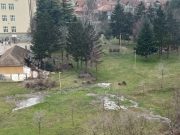 Fekalne vode u dvorištu škole “9. oktobar” – mesecima bez reakcije nadležnih