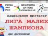Blace: “Liga malih šampiona” ponovo okuplja najmlađe sportiste