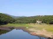 Jelena Milošević: Brestovačko jezero dodatno presušilo zbog MHE Slavnik