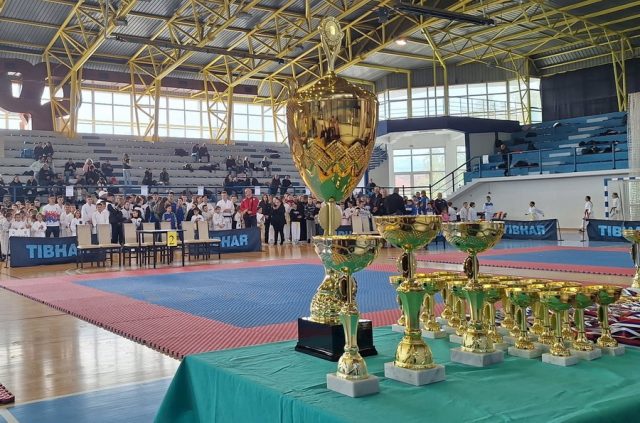 Karate klub Topličanin