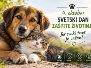 Svetski dan zaštite životinja: Briga o životinjama odgovornost je svih nas